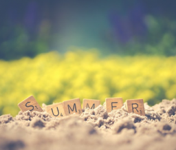 Summer news feed header 